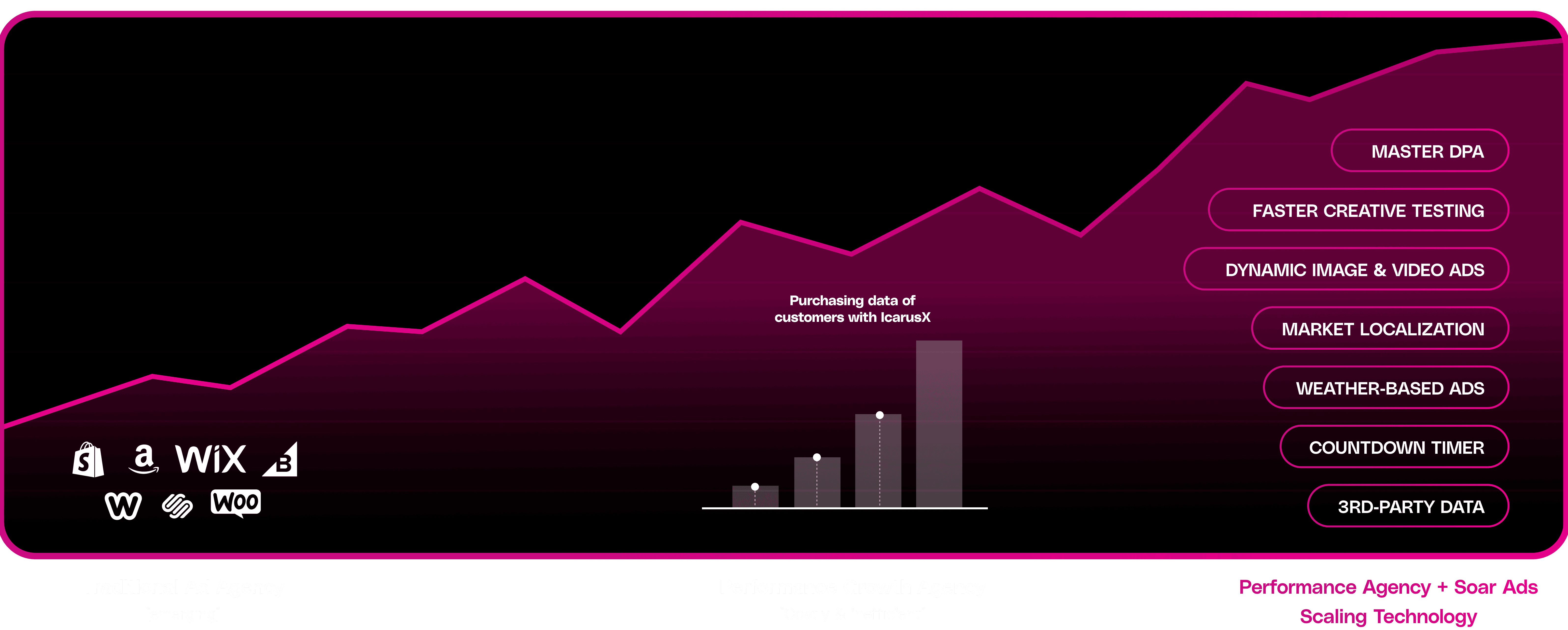 Graph of Purchasing data of customers with Icarus
